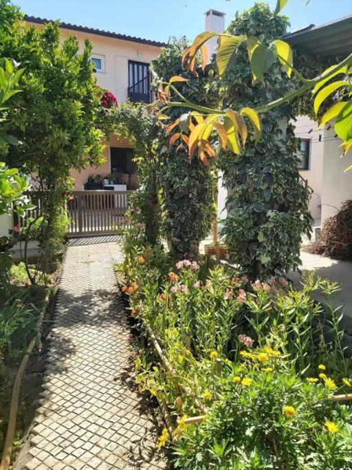 Casa Alegria - The Orangery Apartment Tomar Exterior photo
